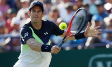 开云体育APP下载-关于英国网球队绝地反击世界网球队，穆雷关键制胜的信息