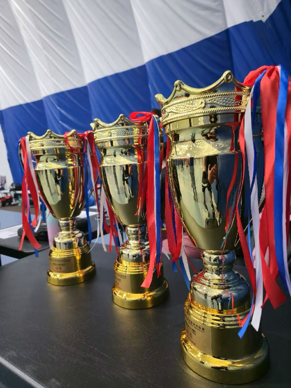 加拿大队精彩比赛获得排球冠军