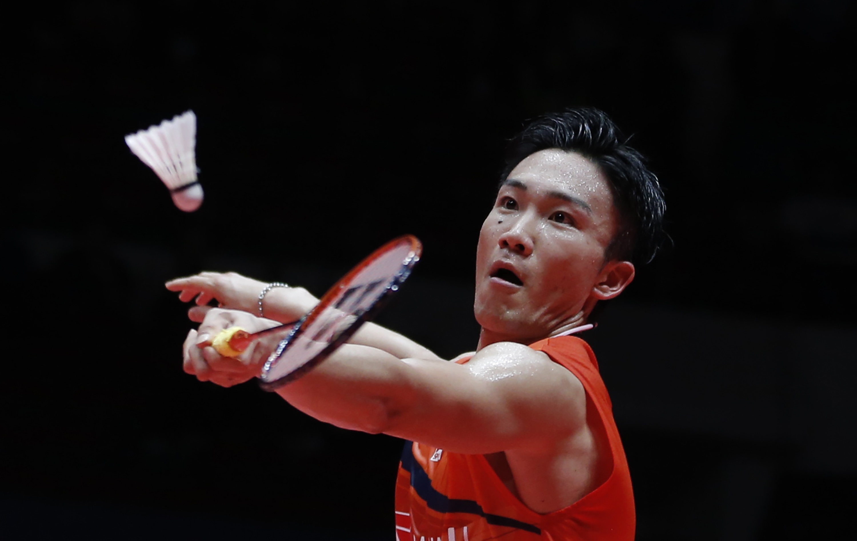 中国羽毛球队血洗日本羽毛球队，桃田贤斗高光表现的简单介绍
