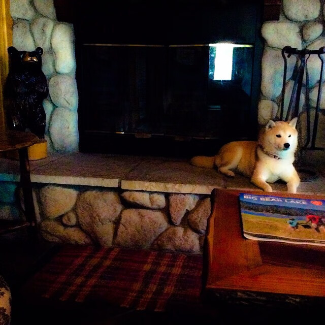 从努涅斯爆发到喀麦隆加时鏖战，足球世界里的唯一性叙事